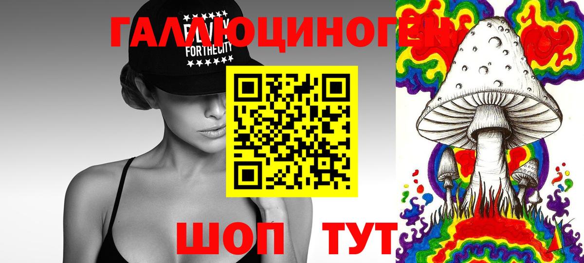 Галлюциногенные грибы Psilocybine cubensis  Вход с VPN  Новотроицк 